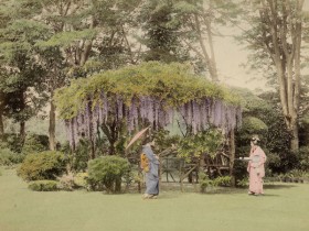 Geishas au jardin pour le thé - Japon - Tirage albuminé rehaussé
