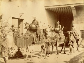 Chameau de mariage arabe - Zangaki - Tirage albuminé