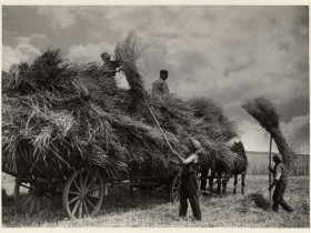 Ramassage du fourrage - Photographie agricole - Tirage argentique
