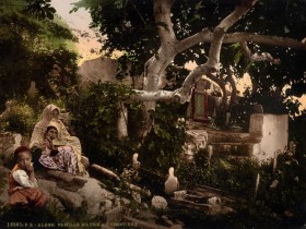 Famille maure au cimetière, à Alger - Photochrome P.Z.