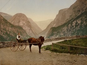Paysanne norvégienne en carriole - Photochrome D.P.C