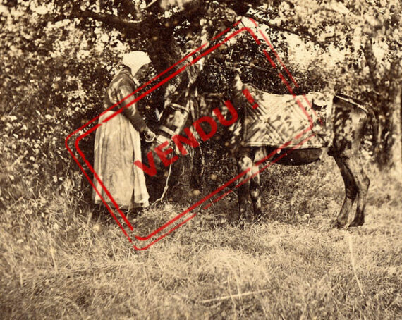 Paysanne et son âne - Par le photographe Adolphe Giraudon - Détail