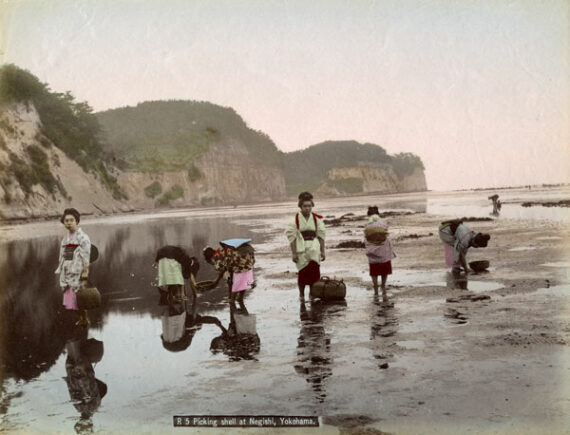 Pêche aux coquillages en baie de Negishi - Japon - Tirage albuminé rehaussé de couleurs - Photo Memory