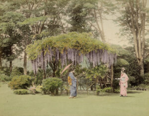 Geishas au jardin pour le thé - Japon - Tirage albuminé rehaussé | PHOTO MEMORY