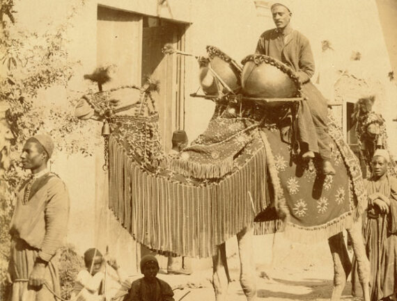 Chameau de mariage arabe - Frères Zangaki - Détail