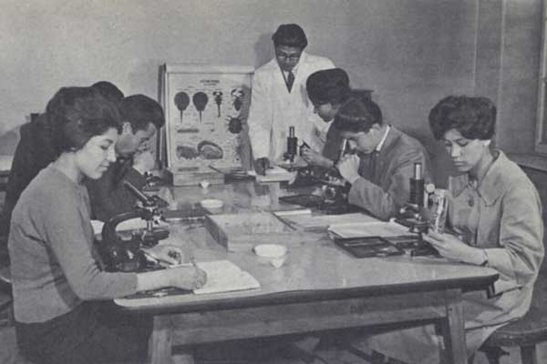 Femmes et hommes à l'université - Afghanistan des années 50-60 - Photographie