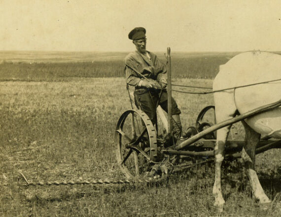 Paysan russe sur sa moissonneuse - Détail