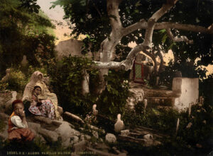 Famille maure au cimetière, à Alger - Photochrome P.Z. | PHOTO MEMORY