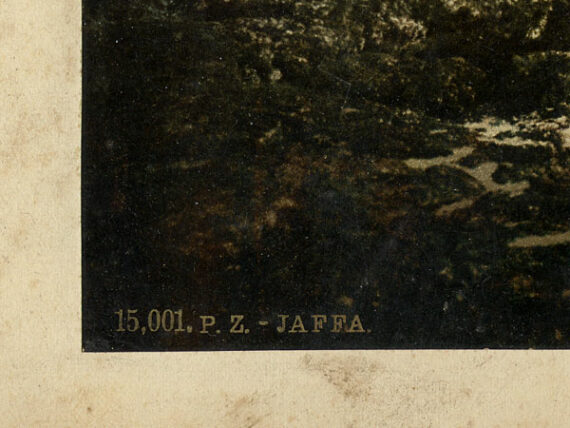 Le port et la vieille ville de Jaffa - Détail - Photochrome P.Z.