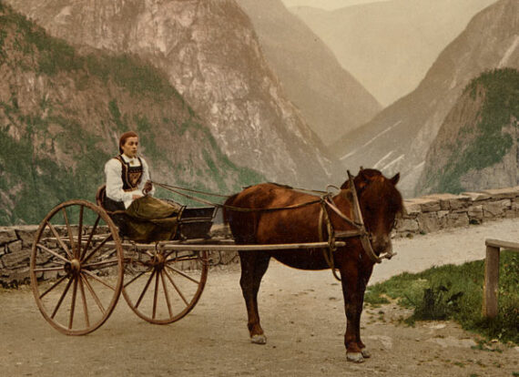Photochrome de Norvège : paysanne  en carriole – Image 2