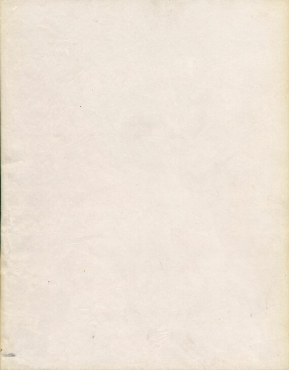 Portrait d'une jeune femme turque voilée, tirage albuminé – Image 2