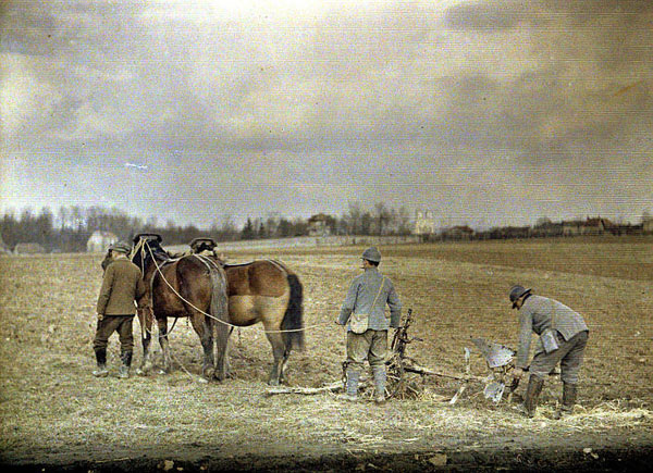 Laboureurs militaires à la Haubette (Marne), accompagnés d'un civil. Autochrome de Fernand Cuville (1917)