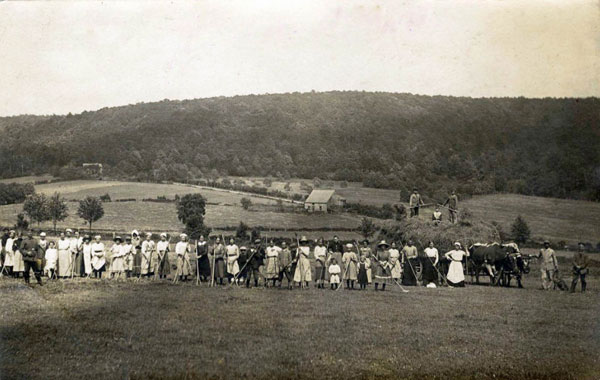 Travaux de fenaison, au lieu-dit Le Haut-du-Terne à Monthermé (1914-1918). © Conseil général des Ardennes – Archives départementales des Ardennes