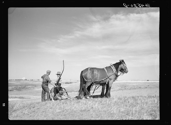 Arthur Rothstein - 1936 - South Dakota