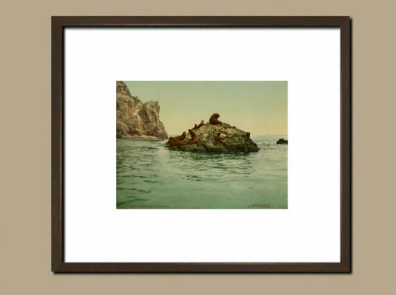 Suggestion d'encadrement du photochrome 53903 Seal Rocks California, proposé par Photo Memory