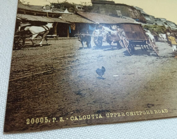 Inde, Photochrome 20005 P.Z. Calcutta, Chitpore Road