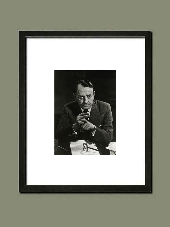 Portrait d'André Malraux, par Yousuf Karsh - suggestion d'encadrement.
