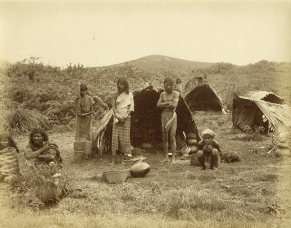 Groupe de Rodyia au Sri Lanka, par Frederick Skeen - Tirage albuminé, c. 1900 - Photo Memory