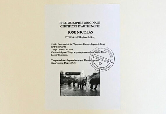 Les éléphants de l'American Circus à la gare de Paris-Bercy, par José Nicolas – Image 6