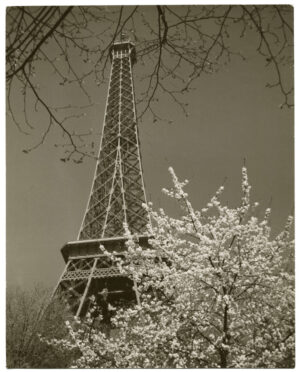 Printemps à Paris sous la Tour Eiffel, par Emile Savitry - Tirage argentique d'époque, circa 1950 - Photo Memory