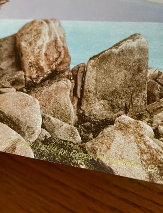 Le Lone Cypress de Pebble Beach, en Californie - Photochrome D.P.C. crédité en lettres dorées : Copyright 1899 by Detroit Photographic Co.