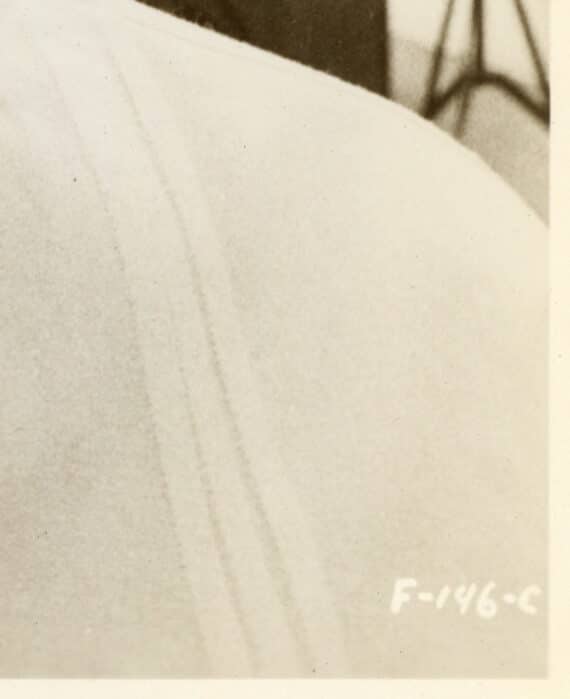 8/12 : Anouk Aimée, portrait avec lunettes - F-146-C, référence officielle de la photo (détail).