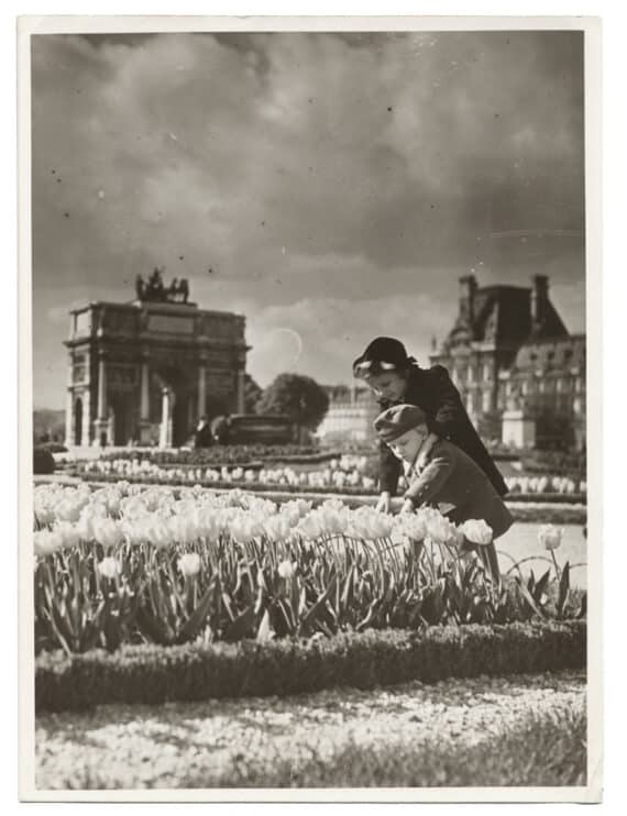 Les enfants et les tulipes du jardin des Tuileries - Tirage argentique d'époque, c. 1935 - Photo Memory