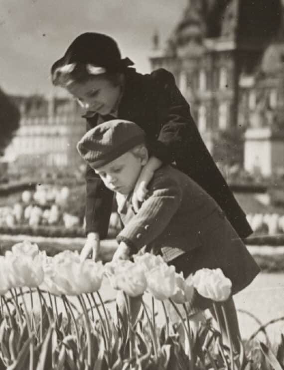 Les enfants et les tulipes du Jardin des Tuileries - Détails du tirage